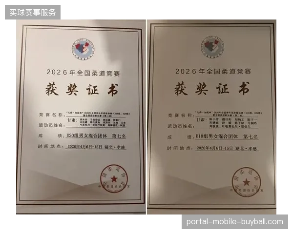 2026年后的国际赛事将通过NFT数字门票彻底清退黑市